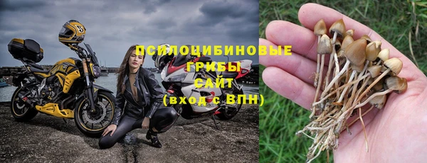 a pvp Алексин