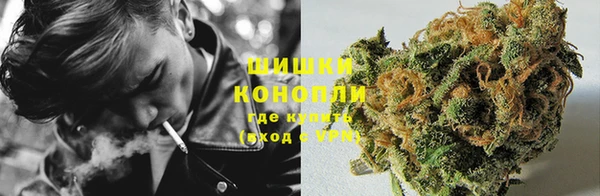 прущие грибы Алексеевка