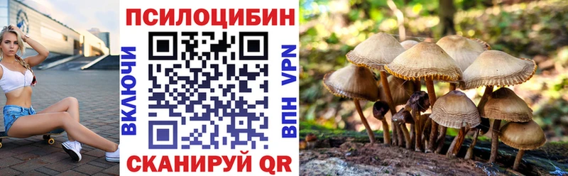 Купить где  Спасск-Рязанский  Галлюциногенные грибы мухоморы 